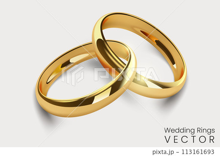 Gold Interlaced Wedding Rings, Realistic Rings, Vector Illustration Gold Interlaced Wedding Rings, Realistic Rings, Vector Illustration 113161693