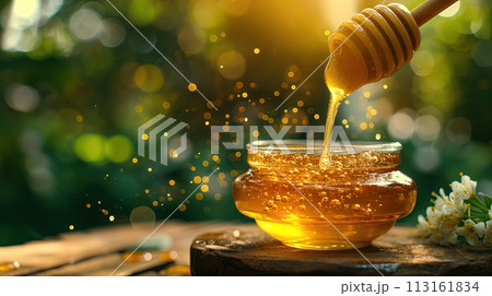 Gourmet honey with honeycomb and dipper 113161834