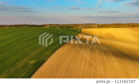 Green wavy hills with agricultural fields 113162387