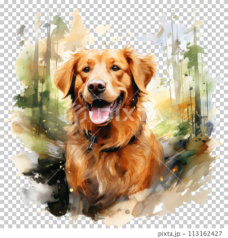 Watercolor Painting of a Golden Retriever Dog 113162427