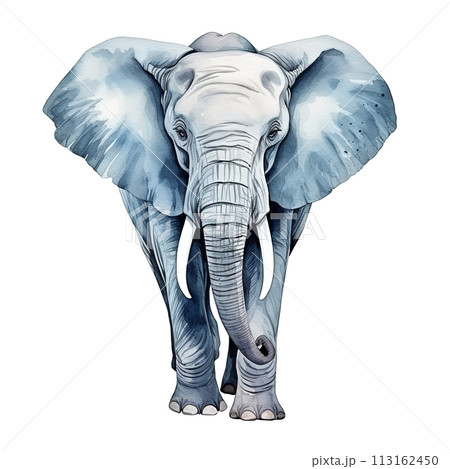 Majestic Elephant Drawing on White Background 113162450