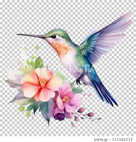 Hummingbird With Pink Flowers Watercolor Painting 113162513