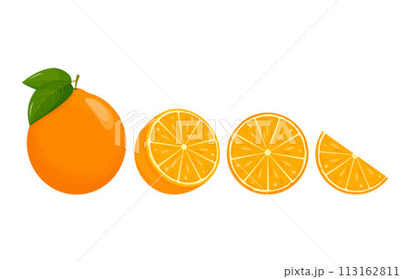 Orange fruit. Oranges that are segmented on a white background, juicy seasonal fruits, citrus. Vector illustration. 113162811