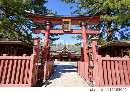 敦賀市、気比神宮境内の鳥居と外拝殿 敦賀市、気比神宮境内の鳥居と外拝殿 113163642