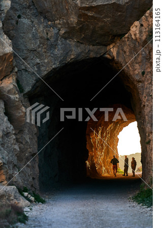 Spain Andalucia spring surrounding lonely tree mountains clouds tunnel 113164165