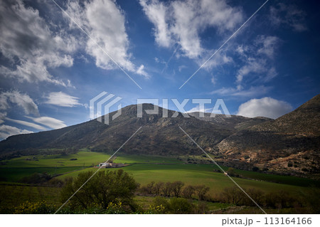 Spain Andalucia spring surrounding lonely tree mountains clouds tunnel 113164166