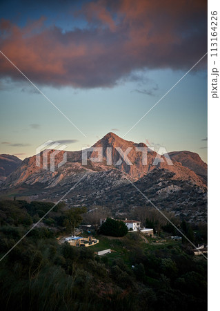 Spain Andalucia spring surrounding lonely tree mountains clouds tunnel Spain Andalucia spring surrounding lonely tree mountains clouds tunnel 113164226