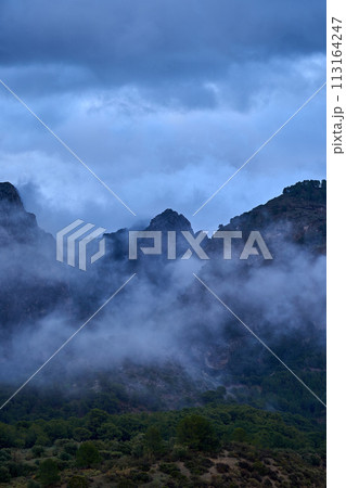 Spain Andalucia spring surrounding lonely tree mountains clouds tunnel Spain Andalucia spring surrounding lonely tree mountains clouds tunnel 113164247