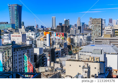 東京 渋谷ヒカリエ11階 展望スペース スカイロビーからの眺め 東京 渋谷ヒカリエ11階 展望スペース スカイロビーからの眺め 113164376