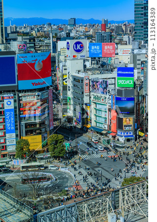 東京　渋谷スクランブルスクエア12階 展望フロアからの眺め 113164389