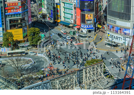 東京 渋谷スクランブルスクエア12階 展望フロアからの眺め 東京 渋谷スクランブルスクエア12階 展望フロアからの眺め 113164391