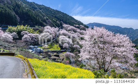 ひょうたん桜公園の眺め ひょうたん桜公園の眺め 113164410