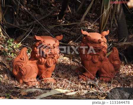 シーサー シーサー 113164478