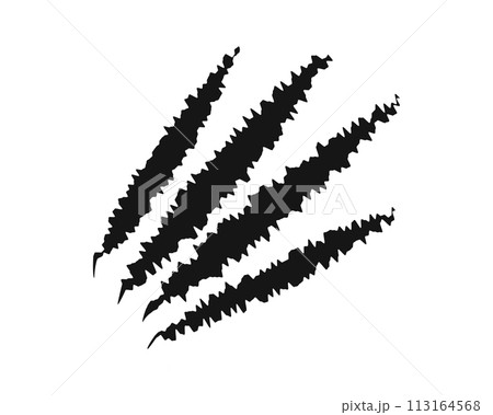 Scratch claw marks. Bear, wolf, toger or panther, dragon, monster or werewolf talons trace isolated on white background. Scary torn scars. Wild animal scratches track. Vector graphic illustraton 113164568
