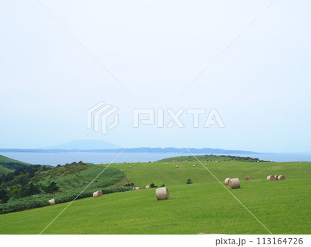 宗谷岬牧場 牧草地 宗谷岬牧場 牧草地 113164726