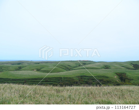 宗谷岬牧場 牧草地 宗谷岬牧場 牧草地 113164727