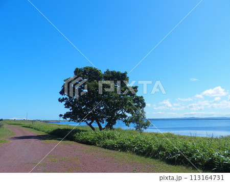 サロマ湖 周辺 サロマ湖 周辺 113164731