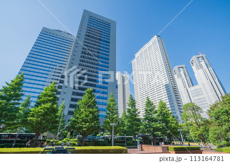 「東京都」新宿新都心のビル群を見上げる　夏 113164781
