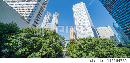 「東京都」新宿新都心のビル群を見上げる 夏 「東京都」新宿新都心のビル群を見上げる 夏 113164783