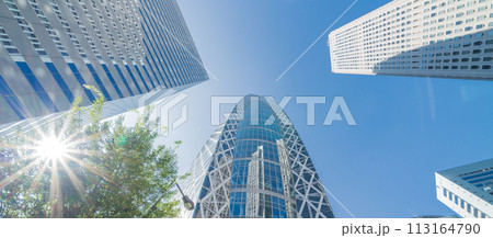 「東京都」新宿新都心のビル群を見上げる　夏 113164790