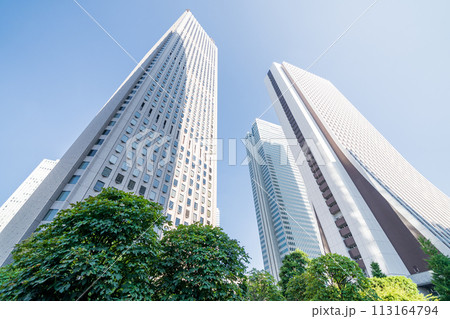 「東京都」新宿新都心のビル群を見上げる 夏 「東京都」新宿新都心のビル群を見上げる 夏 113164794