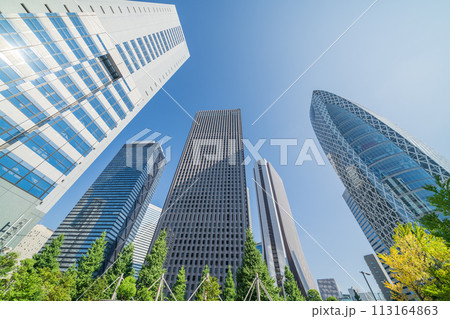 「東京都」に新宿のビル群を見上げる 夏 「東京都」に新宿のビル群を見上げる 夏 113164863