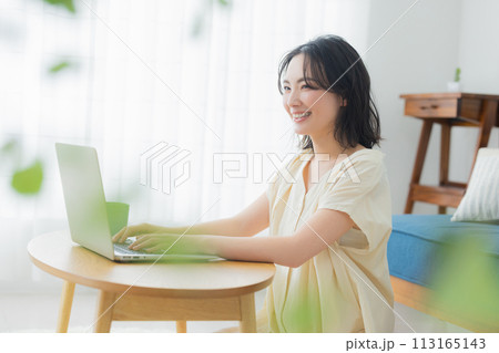 リビングでパソコンを使う若い女性 113165143