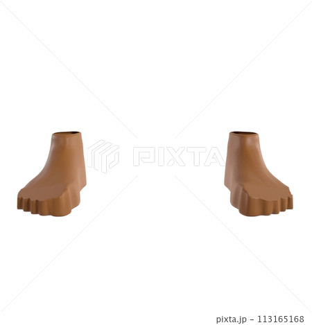 Leather Foot isolated on white background 113165168