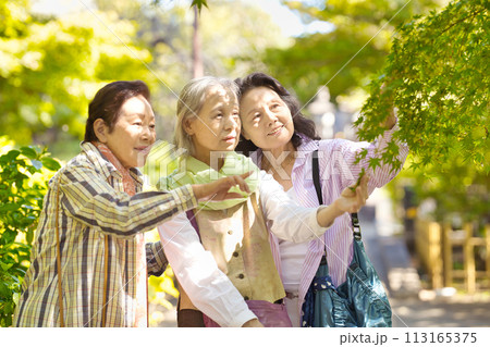 旅行を楽しむシニア女性 113165375