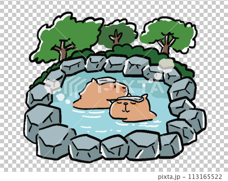 Hand-drawn style illustration of two capybaras taking an open-air bath in the mountain 113165522
