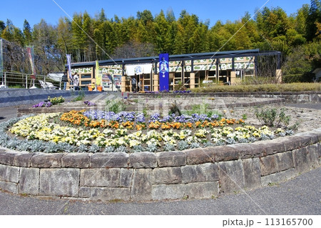 名古屋市農業センターのなご八市場 113165700