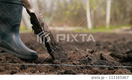 agriculture, farmer dripping soil foot rubber boots, ground, earth business, farmer digging soil shovel garden, agricultural work, shoveling fertile soil, farmer digging garden soil shovel, own small agriculture, farmer dripping soil foot rubber boots, ground, earth business, farmer digging soil shovel garden, agricultural work, shoveling fertile soil, farmer digging garden soil shovel, own small 113165867