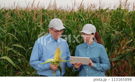 agriculture, farmers handshake field, business corn farm, farmer working tablet with partner, business handshake, partners, cornfield, computer, social media, success, deal, teamwork, engineer agriculture, farmers handshake field, business corn farm, farmer working tablet with partner, business handshake, partners, cornfield, computer, social media, success, deal, teamwork, engineer 113165899