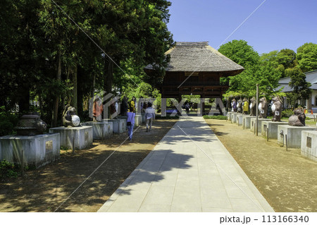 茂林寺参道 113166340