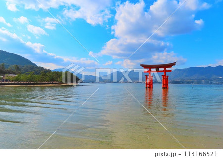 【広島県】日本三景安芸の宮島の大鳥居 113166521