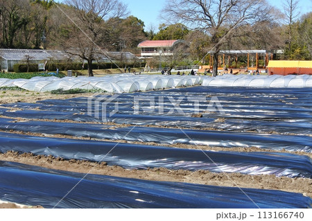 名古屋市農業センターファームエリア 名古屋市農業センターファームエリア 113166740