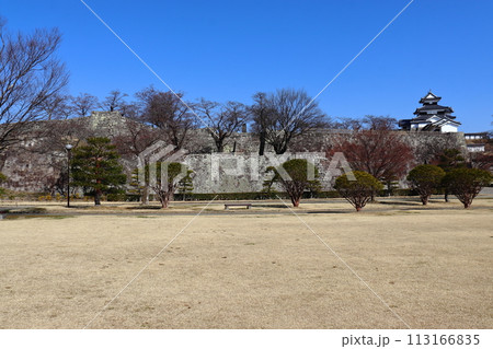 白河小峰城 二の丸から眺めるの城郭と三重櫓(城山公園) 白河小峰城 二の丸から眺めるの城郭と三重櫓(城山公園) 113166835