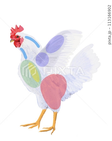 にわとり（部位図）文字なし 113166902