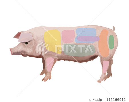 豚（部位図）文字なし 113166911