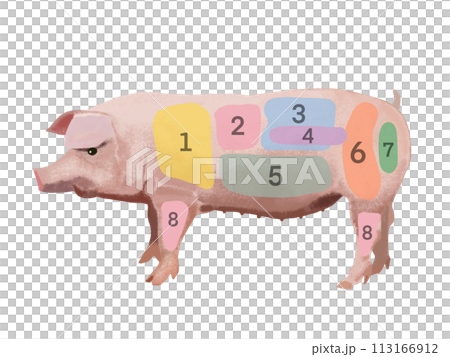 豬（零件圖）與數字 113166912