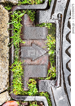 Concept of Direction and Movement, and Path to Development and Progress, Metal Right Arrow Surrounded by Green Grass, Symbol of Harmonious Fusion of Modern Technology and Nature, Vertical Frame Concept of Direction and Movement, and Path to Development and Progress, Metal Right Arrow Surrounded by Green Grass, Symbol of Harmonious Fusion of Modern Technology and Nature, Vertical Frame 113166975