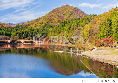 群馬県安中市の秋 紅葉のアプトの道 碓氷湖 群馬県安中市の秋 紅葉のアプトの道 碓氷湖 113167110