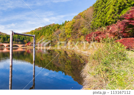 群馬県安中市の秋　紅葉のアプトの道　碓氷湖 113167112