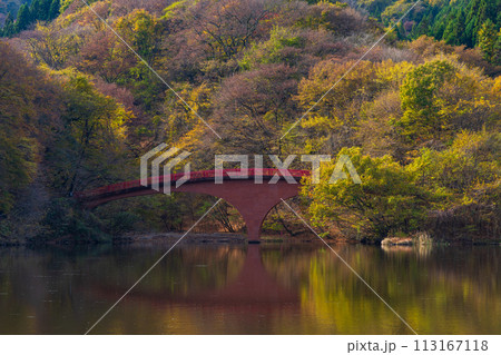 群馬県安中市の秋　紅葉のアプトの道　碓氷湖 113167118