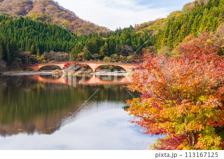 群馬県安中市の秋 紅葉のアプトの道 碓氷湖 群馬県安中市の秋 紅葉のアプトの道 碓氷湖 113167125
