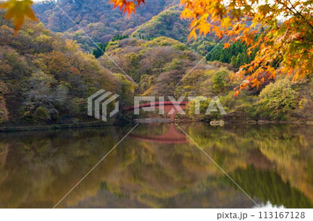 群馬県安中市の秋　紅葉のアプトの道　碓氷湖 113167128