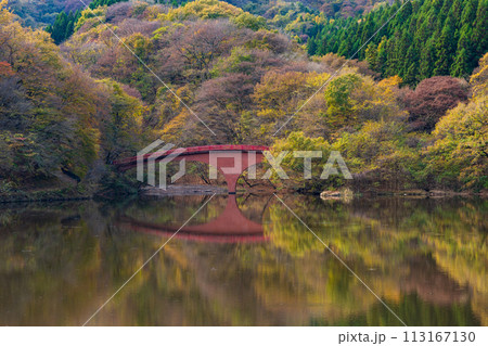 群馬県安中市の秋　紅葉のアプトの道　碓氷湖 113167130