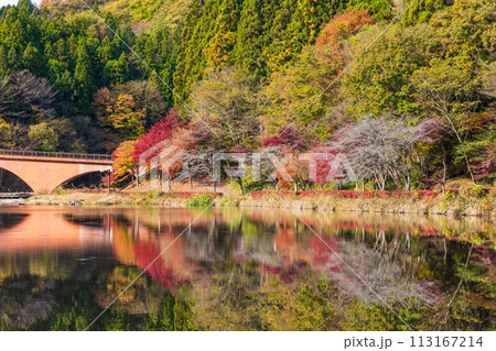 群馬県安中市の秋　紅葉のアプトの道　碓氷湖 113167214