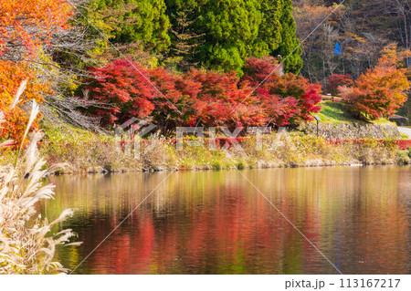群馬県安中市の秋　紅葉のアプトの道　碓氷湖 113167217