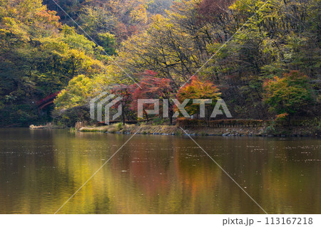 群馬県安中市の秋　紅葉のアプトの道　碓氷湖 113167218